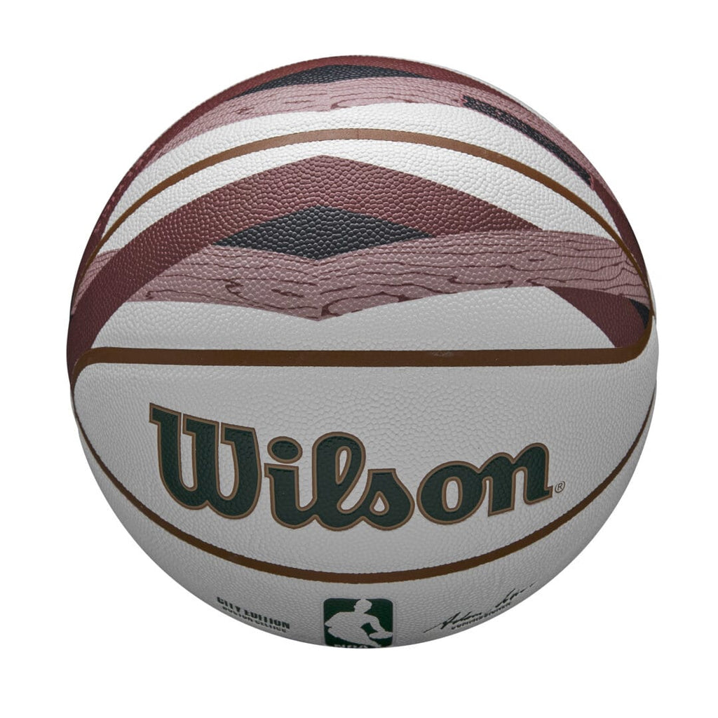 Wilson Team Sports | Basketball | NBA Basketball NBA Team City Collector Bos Celt Size 7 TS081